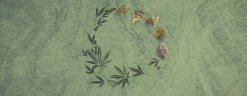 A legújabb útmutató a kannabisz koncentrátumokhoz
