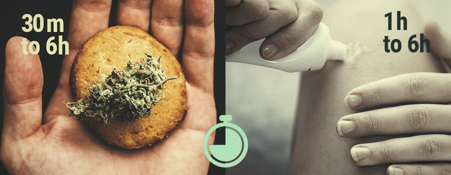 What Are the Fastest Ways to Feel the Effects of CBD? What Are the Fastest Ways to Feel the Effects of CBD?
