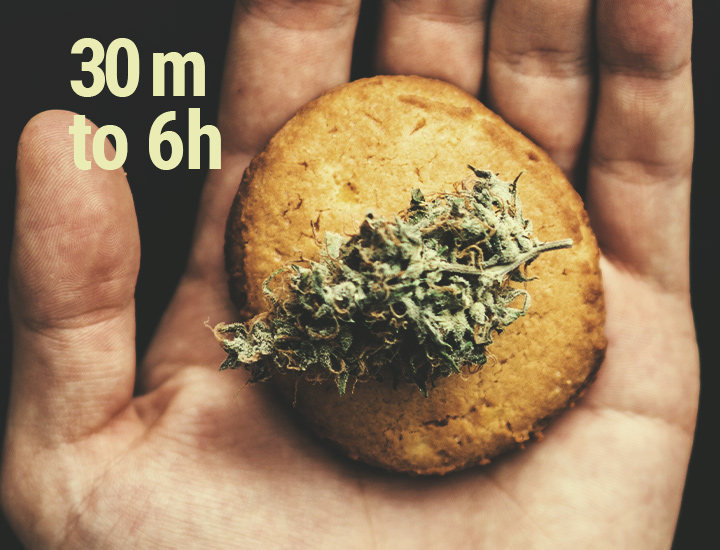 What Are the Fastest Ways to Feel the Effects of CBD? What Are the Fastest Ways to Feel the Effects of CBD?