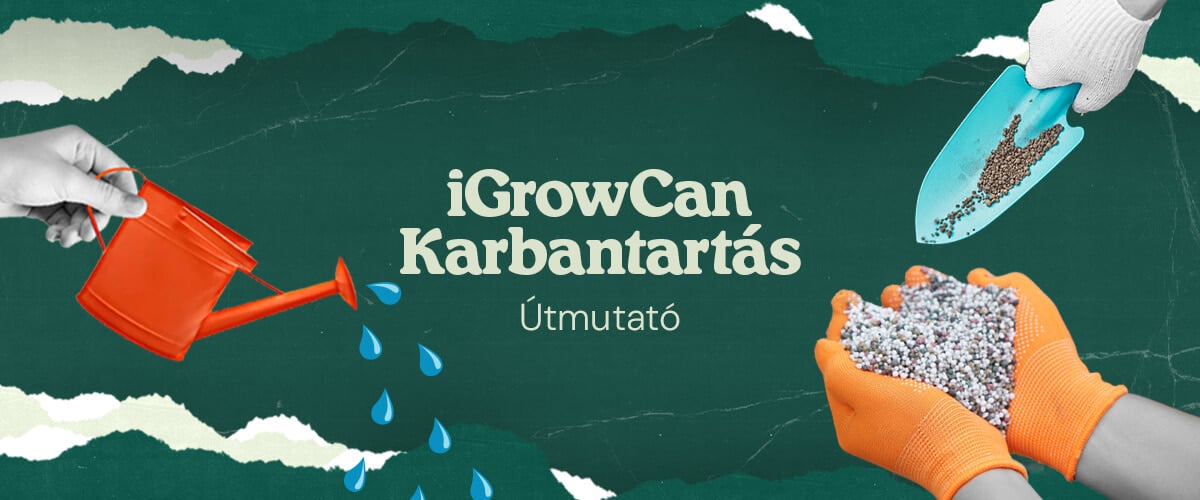 iGrowCan Karbantartási Útmutató: Öntözés és trágyázás a sikeres termesztéshez Kép, amely az iGrowCan karbantartási útmutatót mutatja, bemutatva az öntözési és trágyázási folyamatot az egészséges növekedés érdekében.