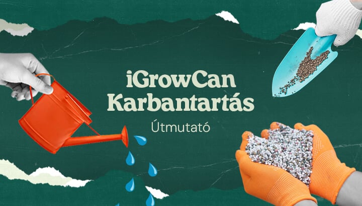 iGrowCan Karbantartási Útmutató: Öntözés és trágyázás a sikeres termesztéshez Kép, amely az iGrowCan karbantartási útmutatót mutatja, bemutatva az öntözési és trágyázási folyamatot az egészséges növekedés érdekében.
